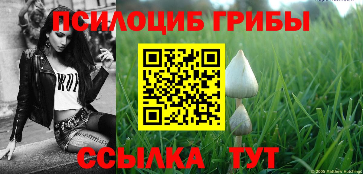 Псилоцибиновые грибы мицелий  Вход с VPN  Нововоронеж 