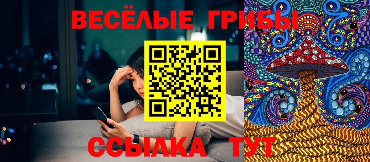 Псилоцибиновые грибы ЛСД Нововоронеж